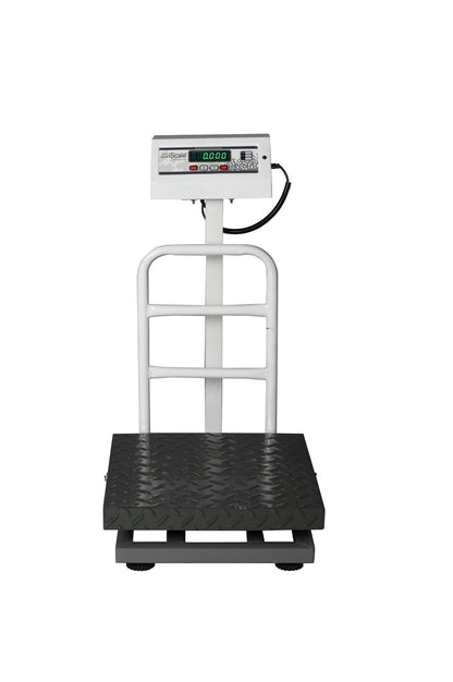 iScale ISP-100M, 100kg x 10g platform scale, 400x400mm MS Pan, Front & Back Green Display, Chargeable