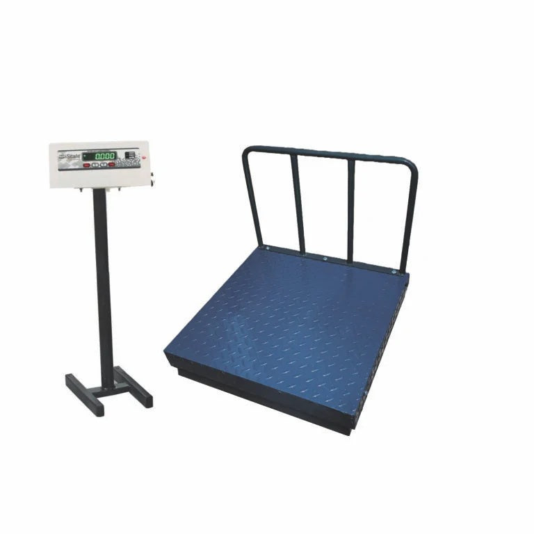 iScale ISP-1000M, 1000kg x 100g/ 500kgX50g platform scale, 750x750mm MS Pan, Front & Back Green Display, Chargeable