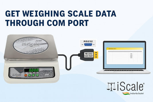 iScale i-06-RS232, 30kg x 1g commercial scale with stamp & certificate, 250x300mm SS Pan, Front & Back Green Display, Rechargeable