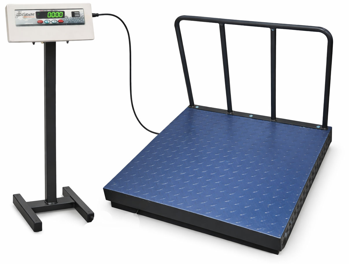 iScale ISP-1000M, 1000kg x 100g/ 500kgX50g platform scale, 750x750mm MS Pan, Front & Back Green Display, Chargeable