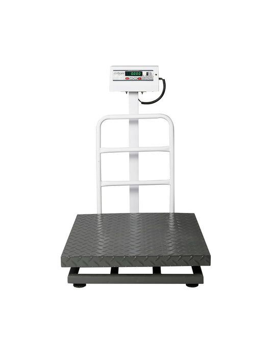 iScale ISP-300M, 300kg x 50g platform scale, 600x600mm MS Pan, Front & Back Green Display, Chargeable