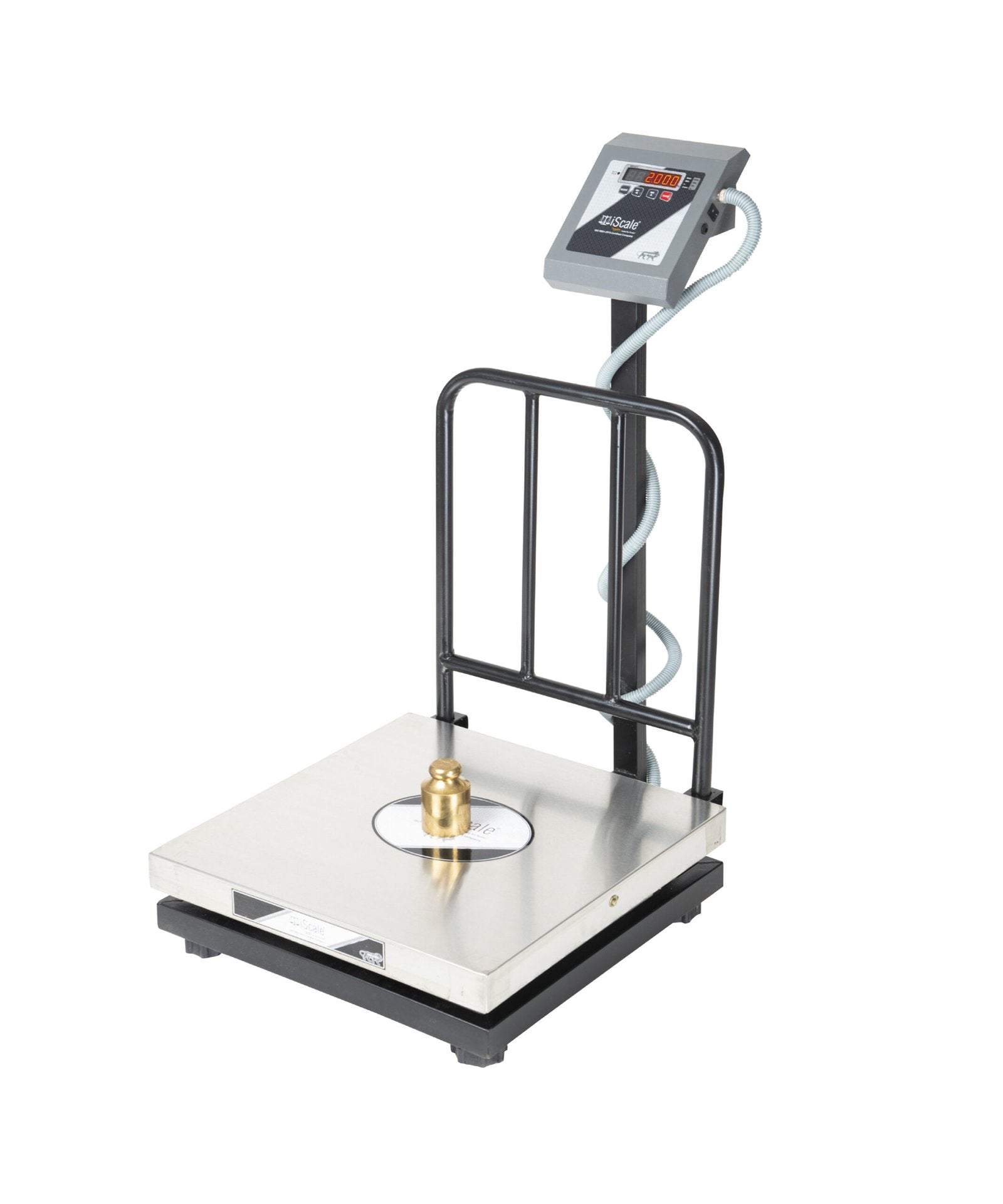 iScale i-18, 300kg x 50g platform scale, 600x600mm SS Pan, Front & Back Red Display, Chargeable
