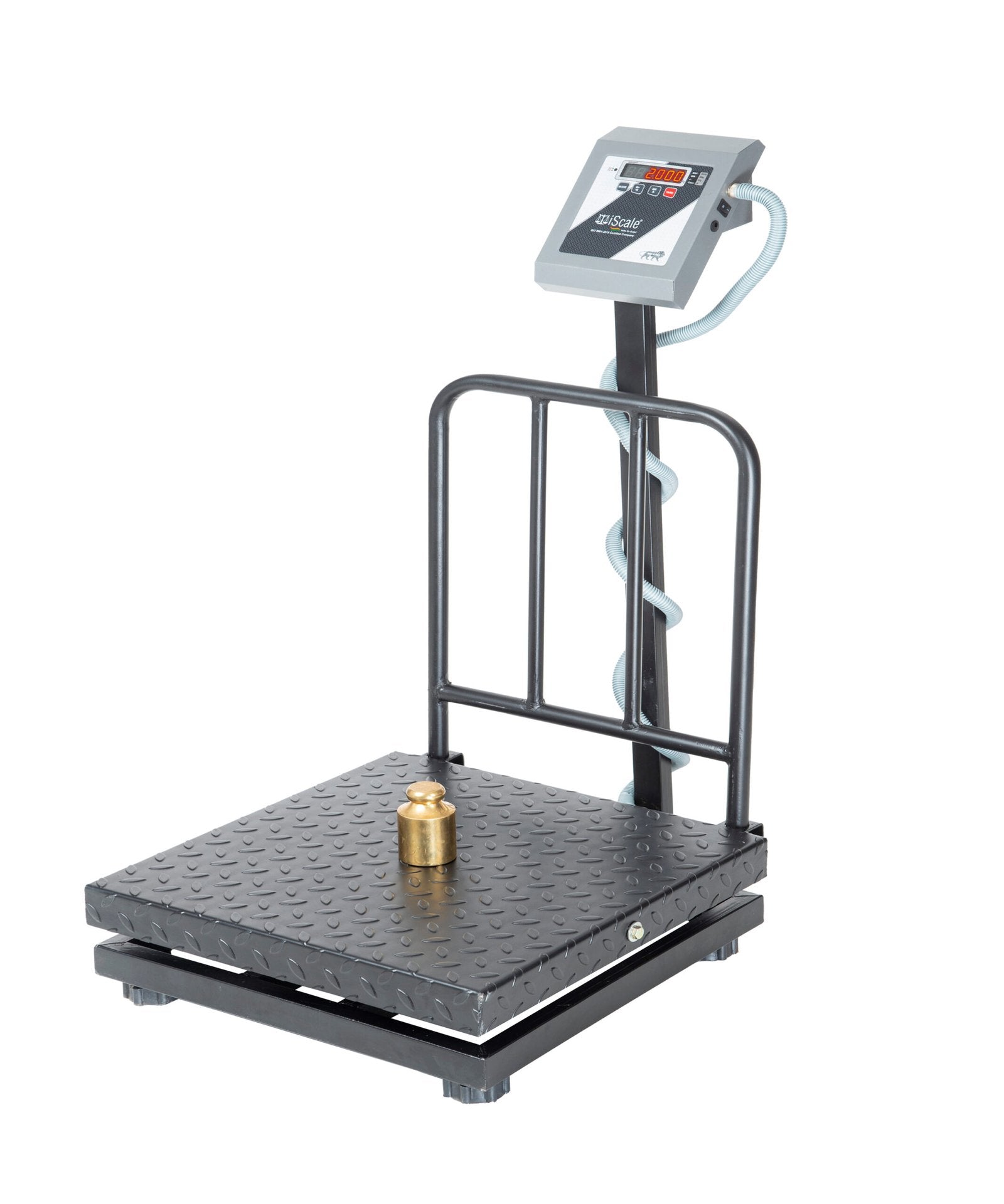 iScale i-19, 300kg x 50g platform scale, 600x600mm MS Pan, Front & Back Red Display, Chargeable