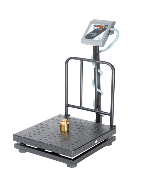 iScale i-19, 300kg x 50g platform scale, 600x600mm MS Pan, Front & Back Red Display, Chargeable