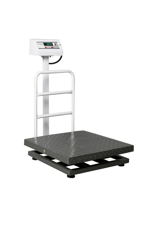 iScale ISP-500M, 500kg x 20g platform scale, 600x600mm MS Pan, Front & Back Green Display, Chargeable