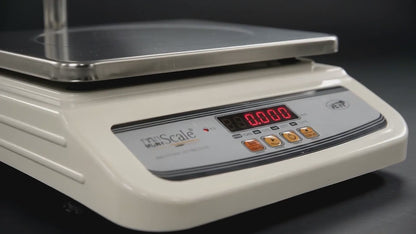 iScale i-01, 30kg x 1g commercial scale with stamp & certificate, 250x300mm SS Pan, Front & pole red Display, Chargeable