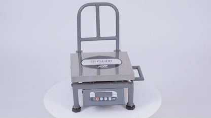 iScale i-20, 100kg x 10g commercial portable scale with stamp & certificate, 300x300mm SS Pan, Front & Back Red Display, Chargeable