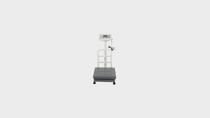 iScale ISP-100S, 100kg x 10g platform scale, 16x16 inch SS Pan, Front & Back Green Display, Chargeable