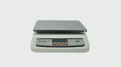 iScale i-02, 30kg x 1g commercial scale with stamp & certificate, 250x300mm SS Pan, Front & Back Red Display, Rechargeable