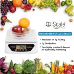 iScale i-500 30kg x 1g Electronic Kitchen and Multipurpose Weighing Machine with Direct Power Adapter; Small Pan Size 21.5 x 17.5 cm (For Domestic Research and Investigation Purpose)