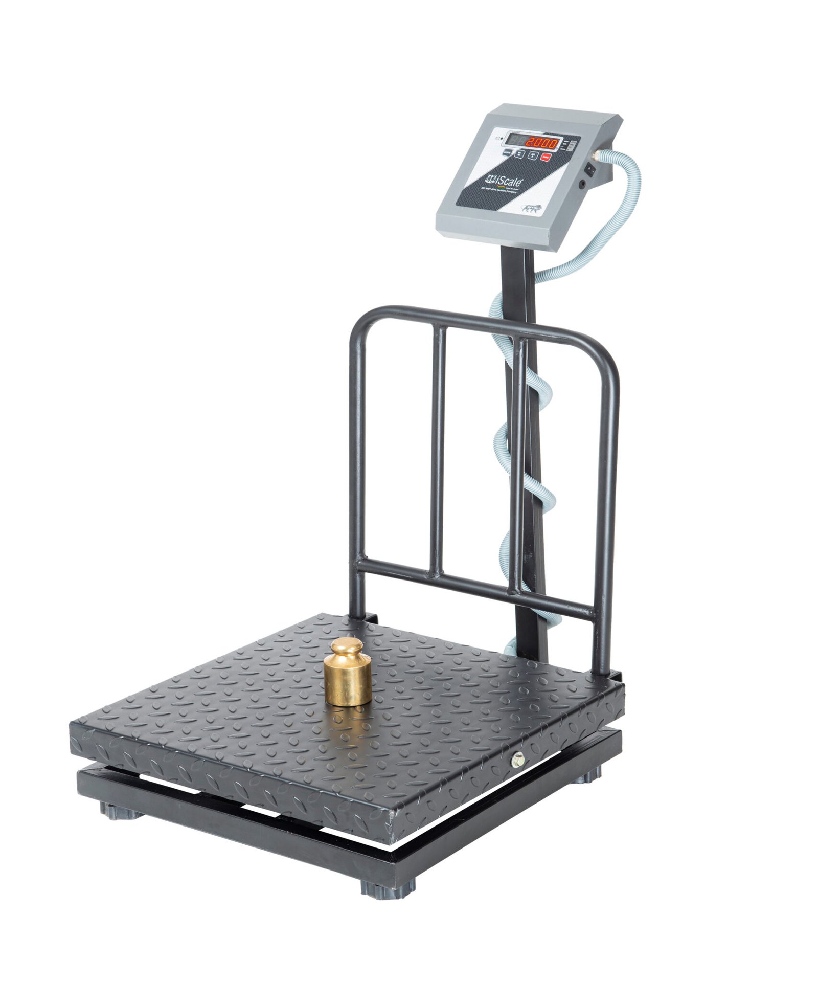 iScale i19 Weight Capacity 500kg x 50g Accuracy,Chargeable Digital